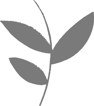 Superfoods ohne Zusätze Icon