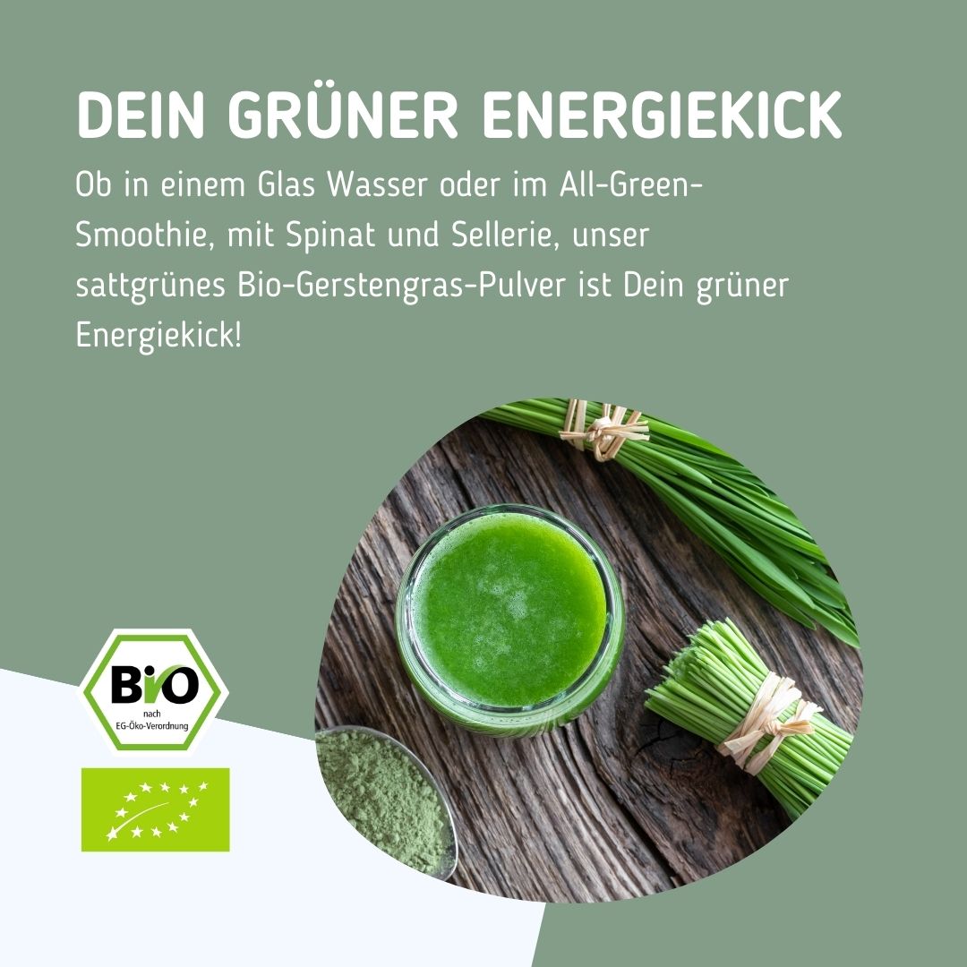 All-Green-Smoothie mit Bio Gerstengras-Pulver