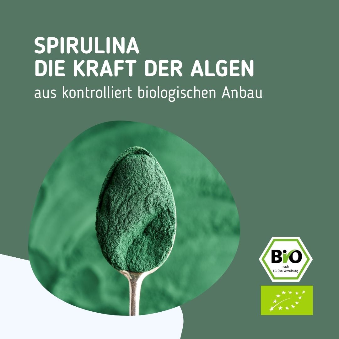 Satt grünes Spirulina Algenpulver auf silbernem Löffel